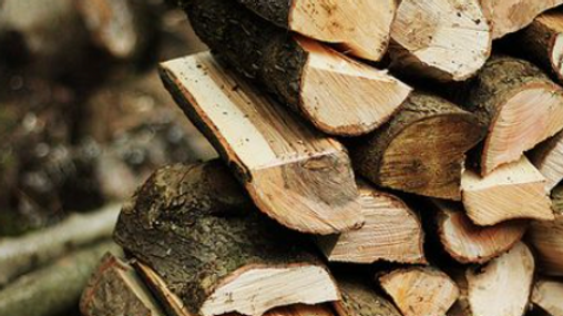 Firewood